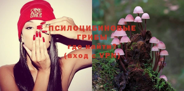 MDMA Premium VHQ Инта