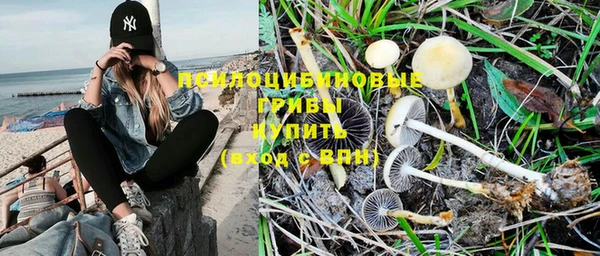 a pvp Иннополис