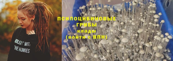 бутират Инсар