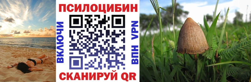 Купить  Еманжелинск  Псилоцибиновые грибы мухоморы 